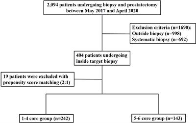 TRUS-Guided Target Biopsy for a PI-RADS 3–5 Index Lesion to Reduce Gleason Score Underestimation: A Propensity Score Matching Analysis